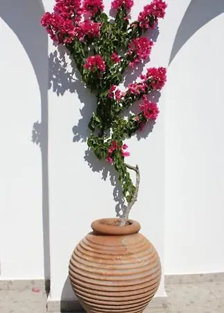 哈本宁别墅酒店 4* 易莫洛林